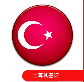 土耳其电子签证指南